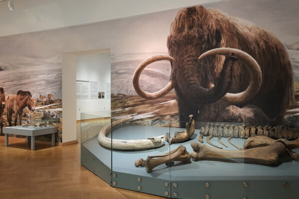 Archäologie_Vorrömische Eisenzeit 1