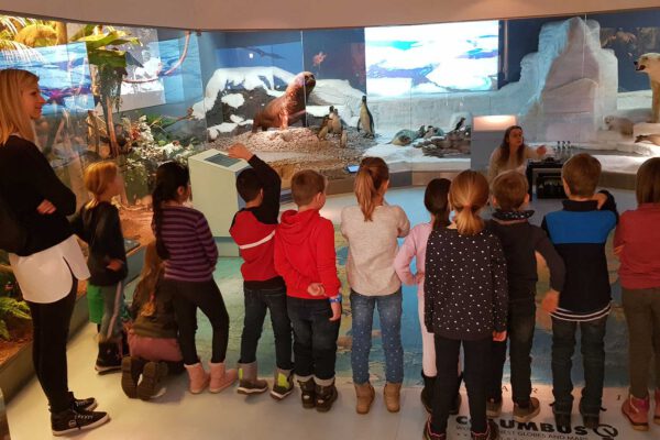 Grundschulen-und-offene-Ganztagesschulen