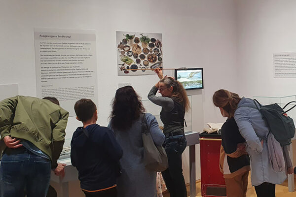 Mitmachführung Abenteuer Steinzeit