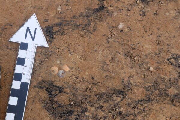 Schieder-Schwalenberg
"Seeblick" 01/29
DKZ 4020,0033:L
Fläche 2
Befund 61
Planum 7
06.05,2022