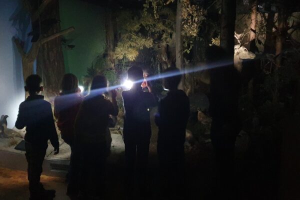 Taschenlampe_Tiere (1)